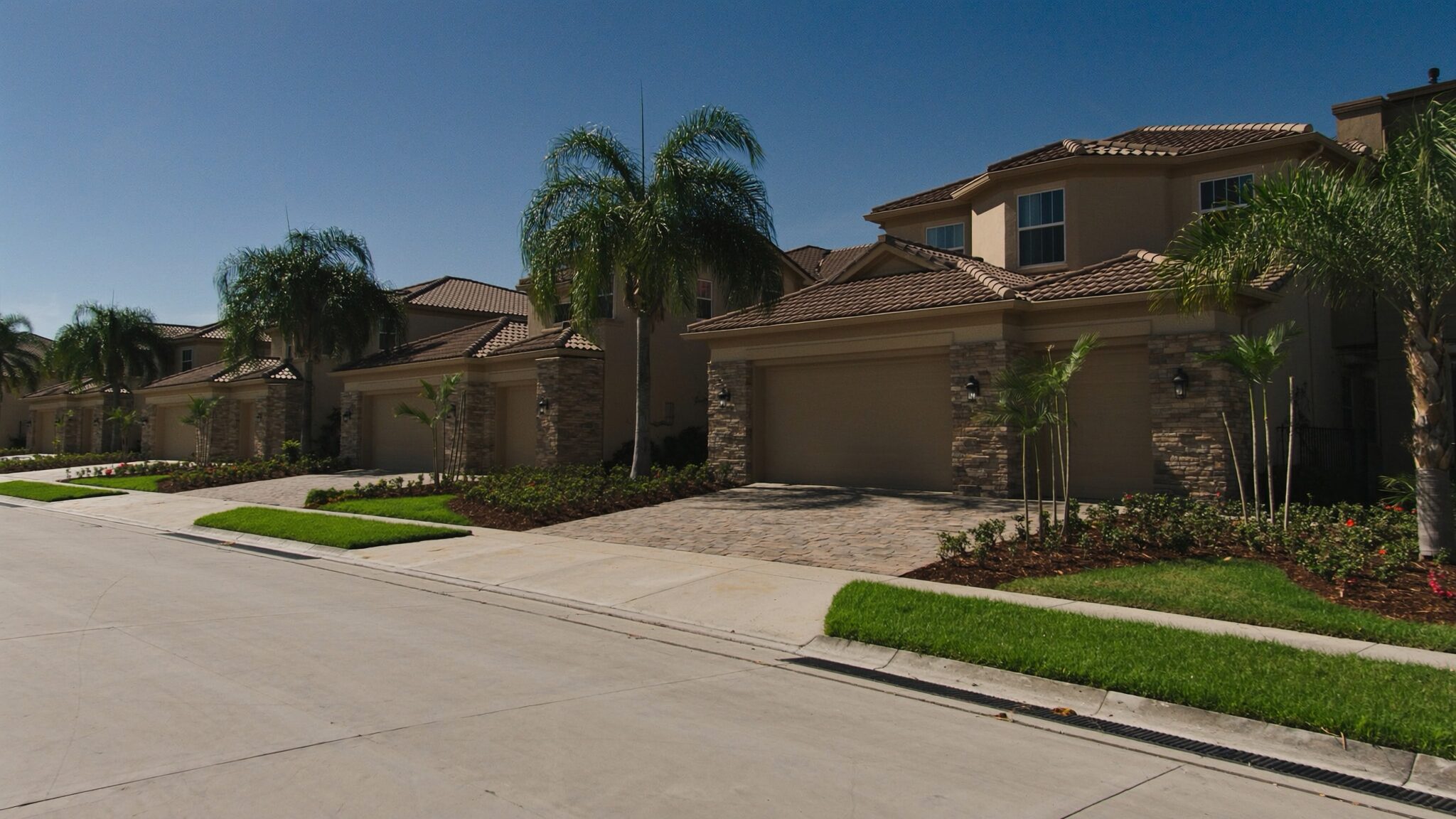 Modern new-construction luxury homes with palm trees in a Palm Beach Gardens community