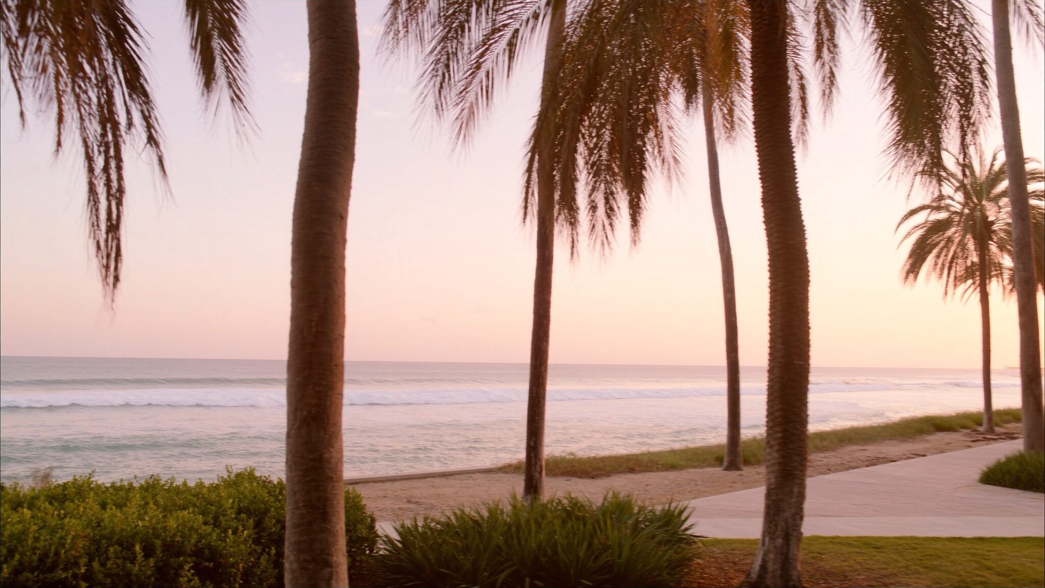 Palm trees along a quiet Florida beachfront walkway at sunrise